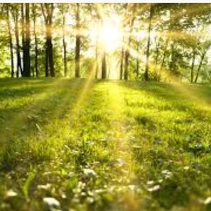 Meet your Posher, Bilma